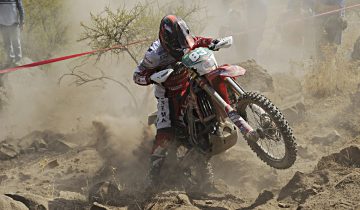 EWC CHILE 2015